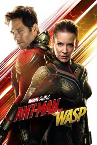Download Ant-Man and the Wasp 2018 Dual Audio Movie IMAX [Hindi 5.1-Eng] BluRay 1080p 720p 480p HEVC